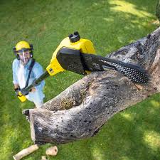 Best Lawn Mowing Services  in Elk City, OK